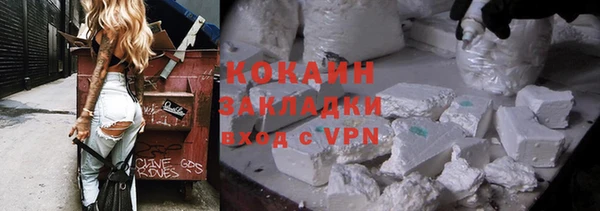 прущие грибы Дмитров