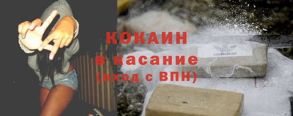 прущие грибы Дмитров