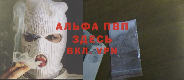 сатива Дмитриев