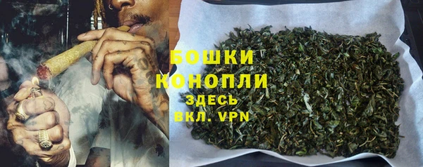 прущие грибы Дмитров