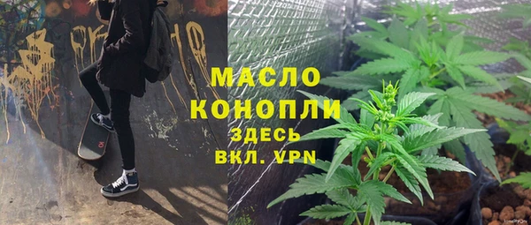 сатива Дмитриев