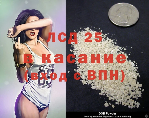 прущие грибы Дмитров