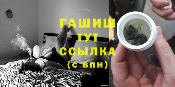 прущие грибы Дмитров