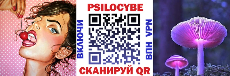 Псилоцибиновые грибы Psilocybine cubensis  Купить где  Торопец 